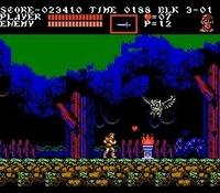 une photo d'Ã©cran de Castlevania 3 - Dracula s Curse sur Nintendo Nes